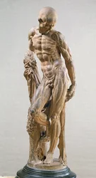 Muscle Man, 1569